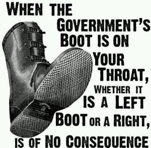 Government boot